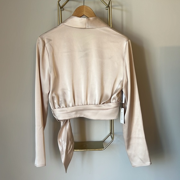 Aritzia Babaton Davis Blouse in Petal - Picture 8 of 8